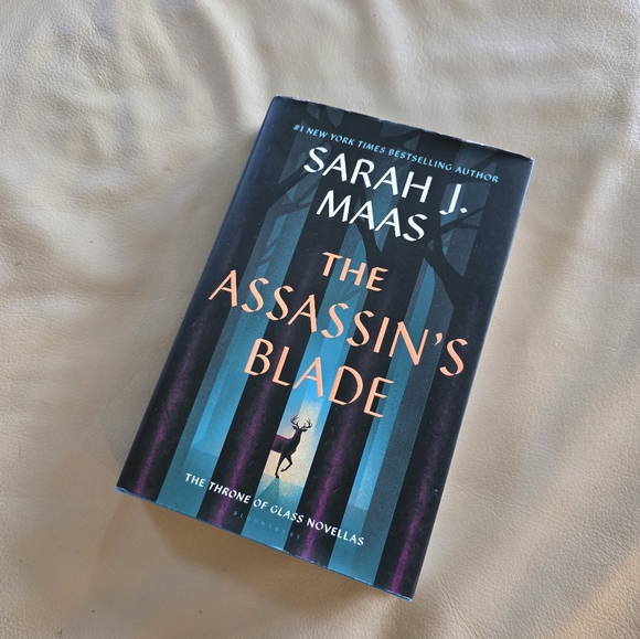 The Assassin's Blade Book First in Throne of Glass Series - Picture 1 of 4